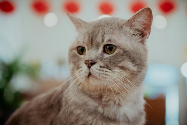 How can mindfulness practices enhance your health?