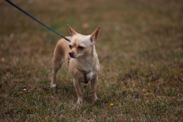 How does autonomous driving impact road safety?