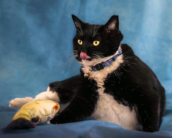 How can businesses ensure data security and privacy?